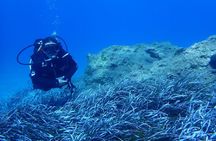 Rethymno Crete Plakias Scuba Diving Experience