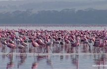 One Day Tour to Lake Nakuru from Nairobi 4WD