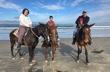 Private Ensenada Excursion: Pick Adventure + Local Experience 