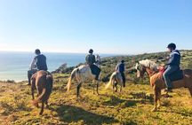 Tangier Mountain and Sea Horseback Riding Adventure