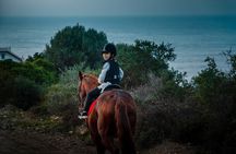Tangier Mountain and Sea Horseback Riding Adventure