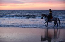 Tangier Mountain and Sea Horseback Riding Adventure