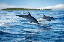 Zanzibar Mnemba Atoll Shared Catamaran and Snorkeling Cruise