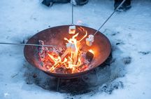 Tromso: Into the Fjord - A Small Group Scenic Day Tour