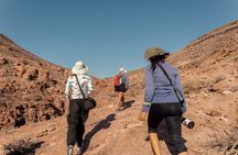 Hiking on Isla Espiritu Santo, the hidden side of La Paz