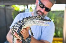 Miami Everglades Experience Airboat Ride, Wildlife Show