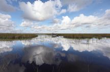 Miami Everglades Experience Airboat Ride, Wildlife Show