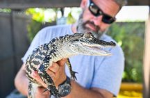 Panoramic Open-Top City Tour and Sightseeing Cruise