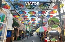 Shared City Tour in Puerto Plata and Countryside