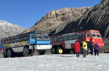 Columbia Icefield Adventure,Bow Lake,Peyto Lake in Banff & Jasper