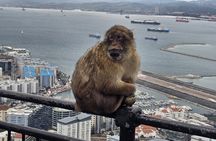 Luxury Private Gibraltar Rock Tour - 5 stops