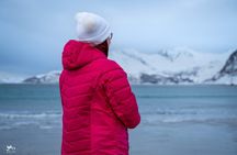 Tromso: Into the Fjord - A Small Group Scenic Day Tour