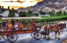 Horse Drawn Sunset Tour in Colorado