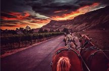 Horse Drawn Sunset Tour in Colorado