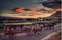Horse Drawn Sunset Tour in Colorado