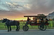 Horse Drawn Sunset Tour in Colorado
