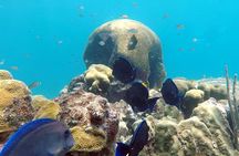 Snorkeling Shared Tour in Kralendijk