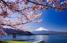 From Tokyo: Mt. Fuji 6 Attractions: Lake Kawaguchi, Oshino Hakkai
