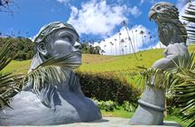 Tour to Salento, Cocora Valley, Coffee Farm and Hot Springs