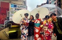 Tokyo Private Asakusa Walking Tour: Senso-ji & Photo Spots