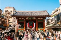 Tokyo Private Asakusa Walking Tour: Senso-ji & Photo Spots
