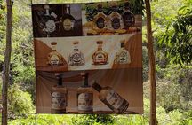 Half Day Tequila Distillery Tour