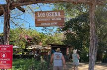 Half Day Tequila Distillery Tour
