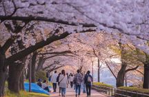 Beijing Great Wall City Park Tour