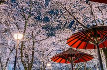 Tokyo Cherry Blossom Night Tour – Private Yozakura Experience