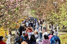 1Day Beijing Badaling Great Wall City Park Tour