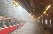 Alishan Join-in Day Tour from Chiayi (Incl. Park Entrance)