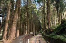Alishan Join-in Day Tour from Kaohsiung (Incl. Park Entrance)