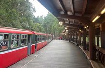 Alishan Join-in Day Tour from Kaohsiung (Incl. Park Entrance)