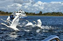 Private Boat Tour on River Shannon to Clonmacnoise, Athlone