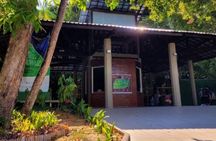 Private Tour in Manaus: Amazonian Science Forest and Theatre