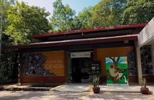 Private Tour in the Science Forest in Manaus