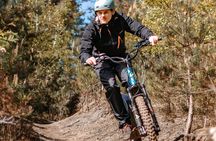 Discover National Park Bosland on an Offroad E-scooter