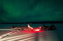 Northern Lights Tour Sleigh Ride