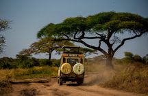 6 Day Private Camping Safari in Tanzania from Kilimanjaro Airport