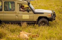 6 Day Private Camping Safari in Tanzania from Kilimanjaro Airport