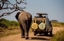 7 day Private Camping Safari In Tanzania