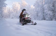 Snowmobile Safari to Arctic Nature
