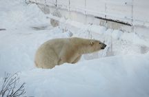 Ranua WildLife Zoo Park