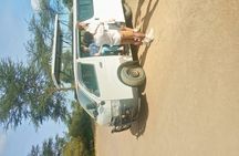 Half Day Nairobi National Park Tour with Options