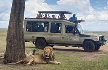 3Days 2nights Masai Mara group joining safari
