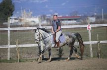 Horseback Riding Adventure in Durrës for Experienced Riders