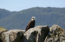 Remote Ketchikan Private Boat Tour