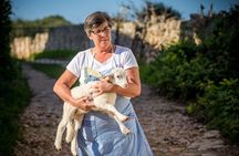 Menorca: Cheesemaking and Farm-Fresh Product Tasting