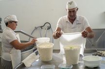 Menorca: Cheesemaking and Farm-Fresh Product Tasting