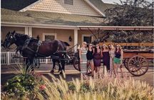 Horse Drawn Wine Tour in Colorado